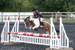 Class 6 - Fences not above 2'9